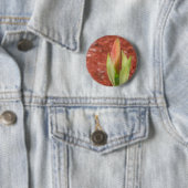 Amaryllis Apfelblüte Blume Button (Beispiel)