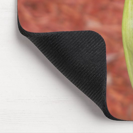 Amaryllis Apfelblüte Blume Mousepad (Ecke)