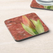 Amaryllis Apfelblüte Blume Untersetzer (Linke Seite)