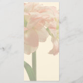 Amaryllis Aphrodite Wedding Menu Menükarte (Rückseite)