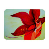 Amaryllis Blossom Magnet (Horizontal)