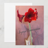 Amaryllis-Blume (Vorne/Hinten)