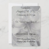 AMARYLLIS-BLUME - KUNDENBEWÄLTIGE EINLADUNG (Rückseite)