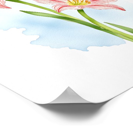 Amaryllis Blume Wasserfarbe Poster (Ecke)