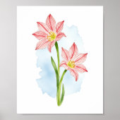 Amaryllis Blume Wasserfarbe Poster (Vorne)