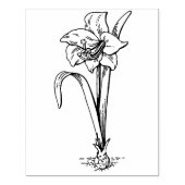 Amaryllis Blume zeichne Briefmarke Gummistempel (Prägung)