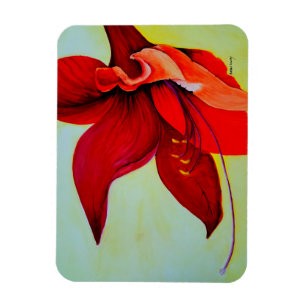 Amaryllis-Blüten-Magnet Magnet