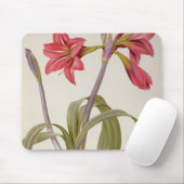 Amaryllis Brasiliensis Mousepad (Mit Mouse)