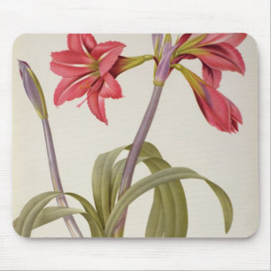 Amaryllis Brasiliensis Mousepad
