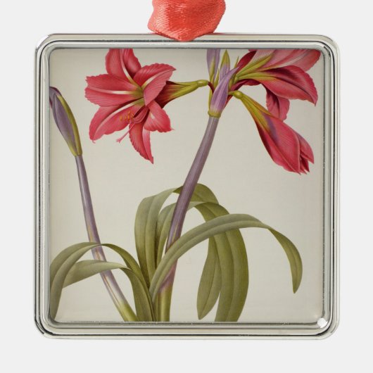 Amaryllis Brasiliensis Ornament Aus Metall (Vorne)