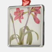 Amaryllis Brasiliensis Ornament Aus Metall (Links)