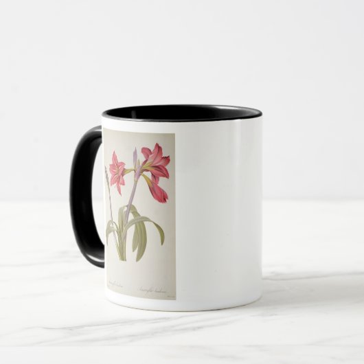Amaryllis Brasiliensis Tasse (Vorderseite Links)