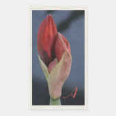 Amaryllis Bud Elegant Blühendes Schieferblau Serviette (Vorderseite)