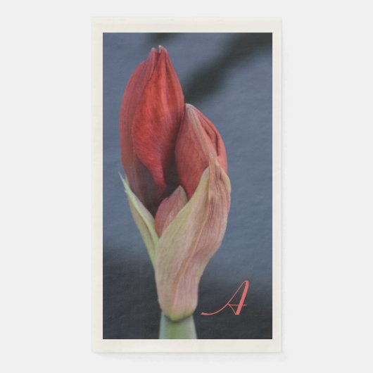 Amaryllis Bud Elegant Blühendes Schieferblau Serviette (Vorderseite)