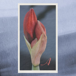Amaryllis Bud Elegant Blühendes Schieferblau Serviette