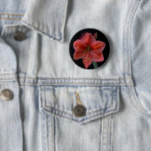 Amaryllis Button (Beispiel)