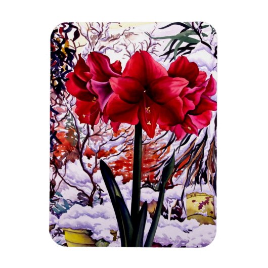 Amaryllis by Snow Window Magnet (Vertikal)