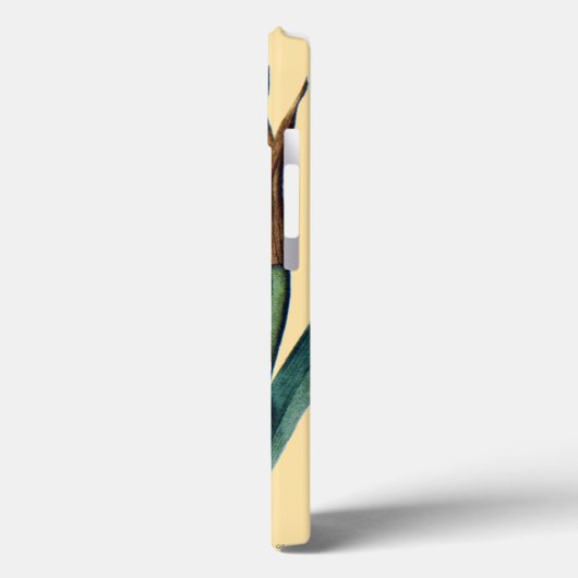 Amaryllis Case-Mate iPhone Hülle (Rückseite / Links)