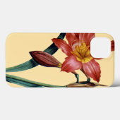 Amaryllis Case-Mate iPhone Hülle (Rückseite (Horizontal))