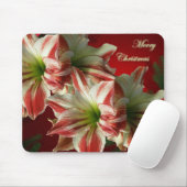 Amaryllis Christmas Mousepad (Mit Mouse)