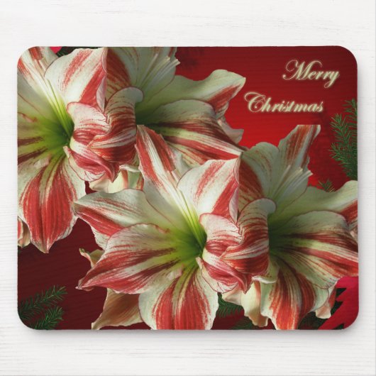 Amaryllis Christmas Mousepad (Vorne)
