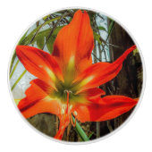 Amaryllis Closeup Ceramic Pull Keramikknauf (Vorderseite)