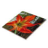 Amaryllis Closeup Ceramic Tile Fliese (Seite)