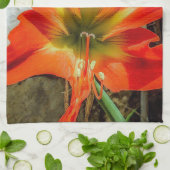 Amaryllis Closeup Kitchen Towels Geschirrtuch (Gefaltet)
