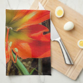 Amaryllis Closeup Kitchen Towels Geschirrtuch (Viertel Falte)