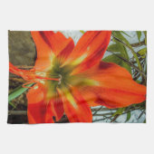 Amaryllis Closeup Kitchen Towels Geschirrtuch (Horizontal)