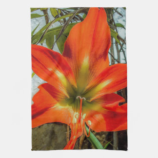 Amaryllis Closeup Kitchen Towels Geschirrtuch