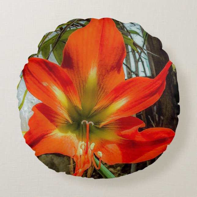 Amaryllis Closeup Round Pillow  Rundes Kissen (Vorderseite)