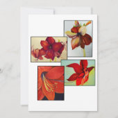 Amaryllis Collage Grußkarte (Vorderseite)