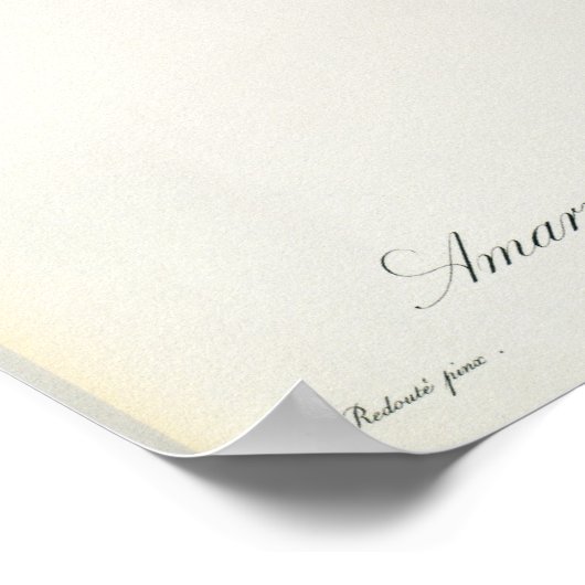 Amaryllis Curvifolia, 1809, aus `Les Poster (Ecke)