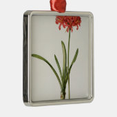 Amaryllis Curvifolia, 1809, vom ` Les Ornament Aus Metall (Rechts)