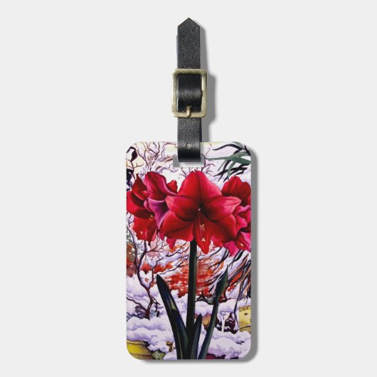 Amaryllis durch Schnee-Fenster Gepäckanhänger (Vorderseite vertikal)
