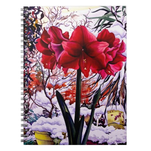 Amaryllis durch Schnee-Fenster Notizblock (Vorderseite)