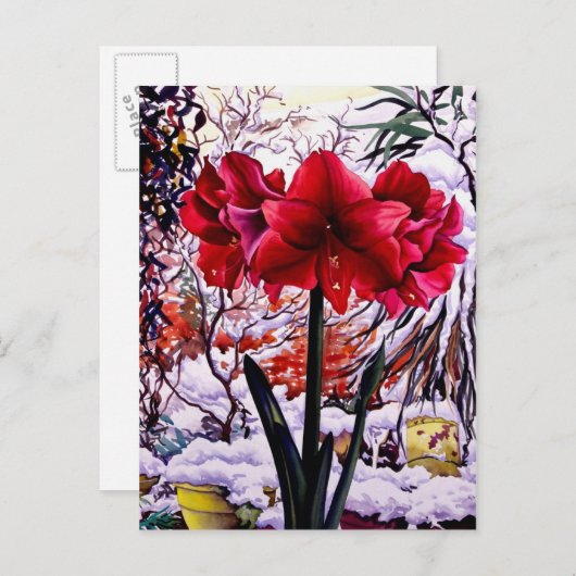 Amaryllis durch Schnee-Fenster Postkarte (Vorne/Hinten)