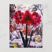 Amaryllis durch Schnee-Fenster Postkarte (Vorderseite)