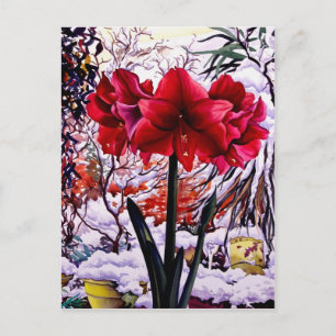 Amaryllis durch Schnee-Fenster Postkarte