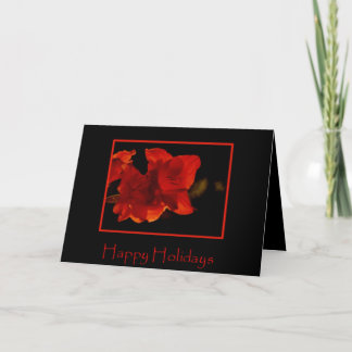 Amaryllis-Feiertags-Karte Feiertagskarte