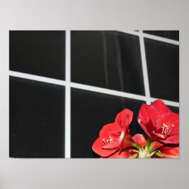 Amaryllis, Fensterscheibe, Weihnachtsfeier, Blume, Poster