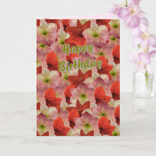 Amaryllis Floral Geburtstagskarte Karte