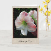 Amaryllis - Floral Series Karte (Gelbe Blume)