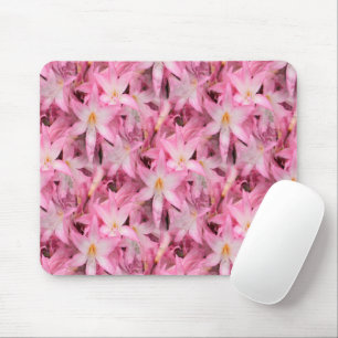 Amaryllis Galore...... Mousepad