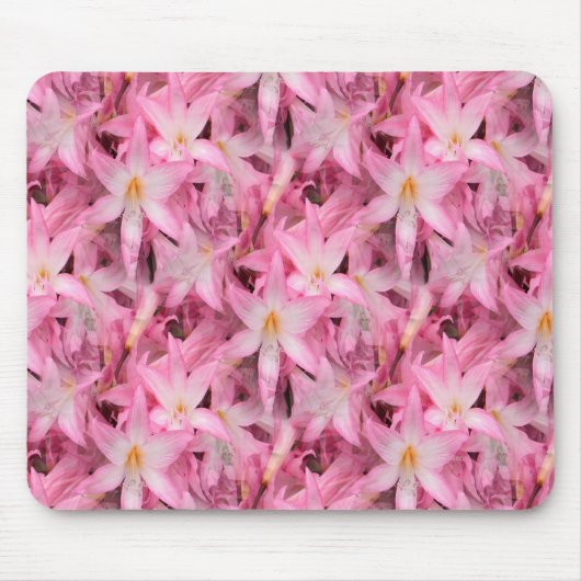 Amaryllis Galore...... Mousepad (Vorne)
