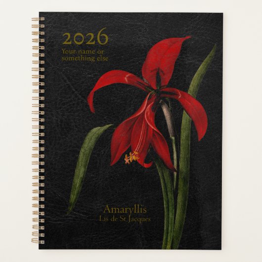 Amaryllis Grandiflora: The Herald of Splendour Planer (Vorderseite)