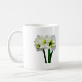 Amaryllis Green Princess Kaffeetasse (Links)