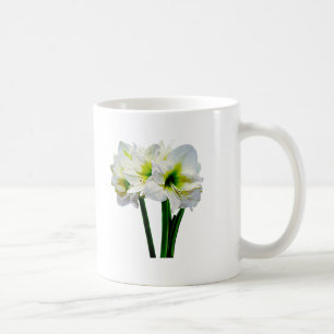 Amaryllis Green Princess Kaffeetasse