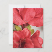 Amaryllis-Hochzeit RSVP Karte (Vorderseite)